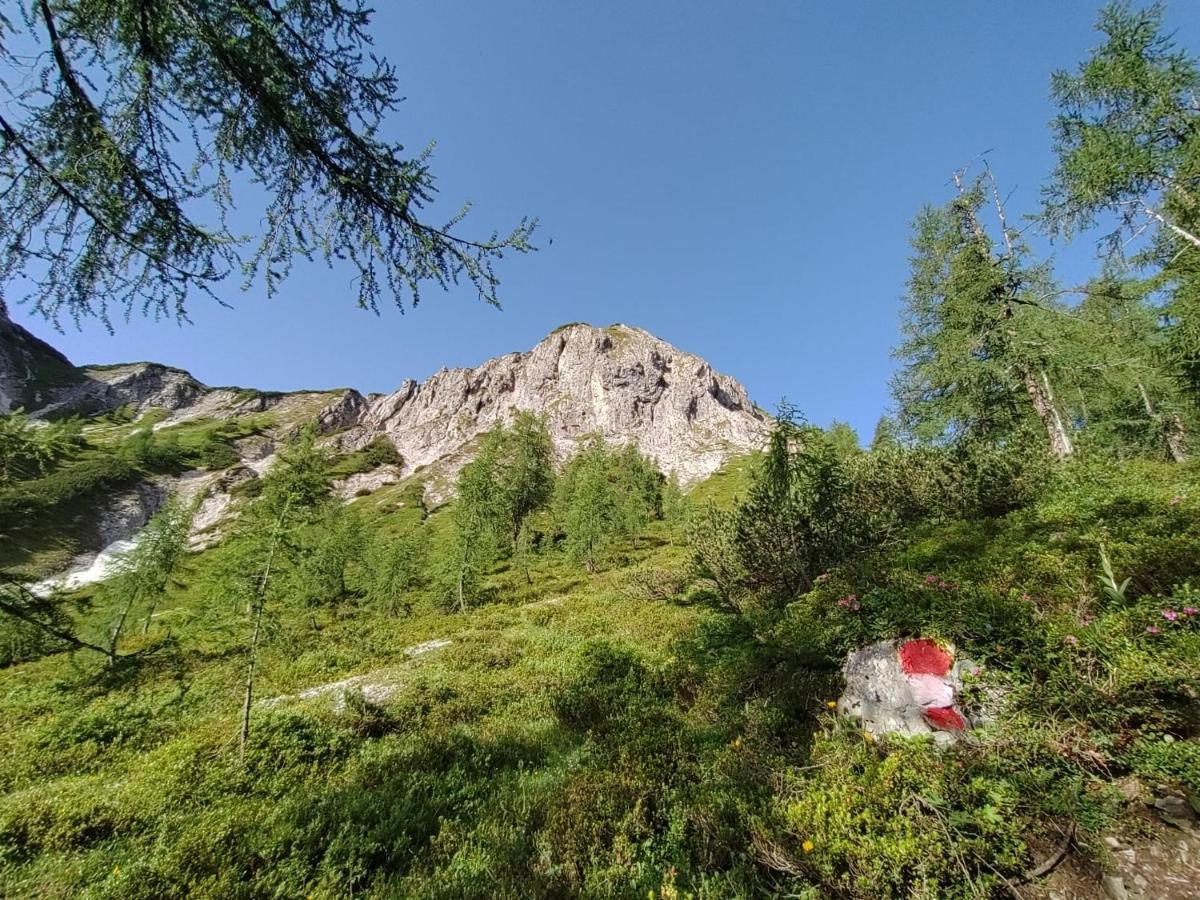 Firstpeak Chalets Zauchensee Zewnętrze zdjęcie